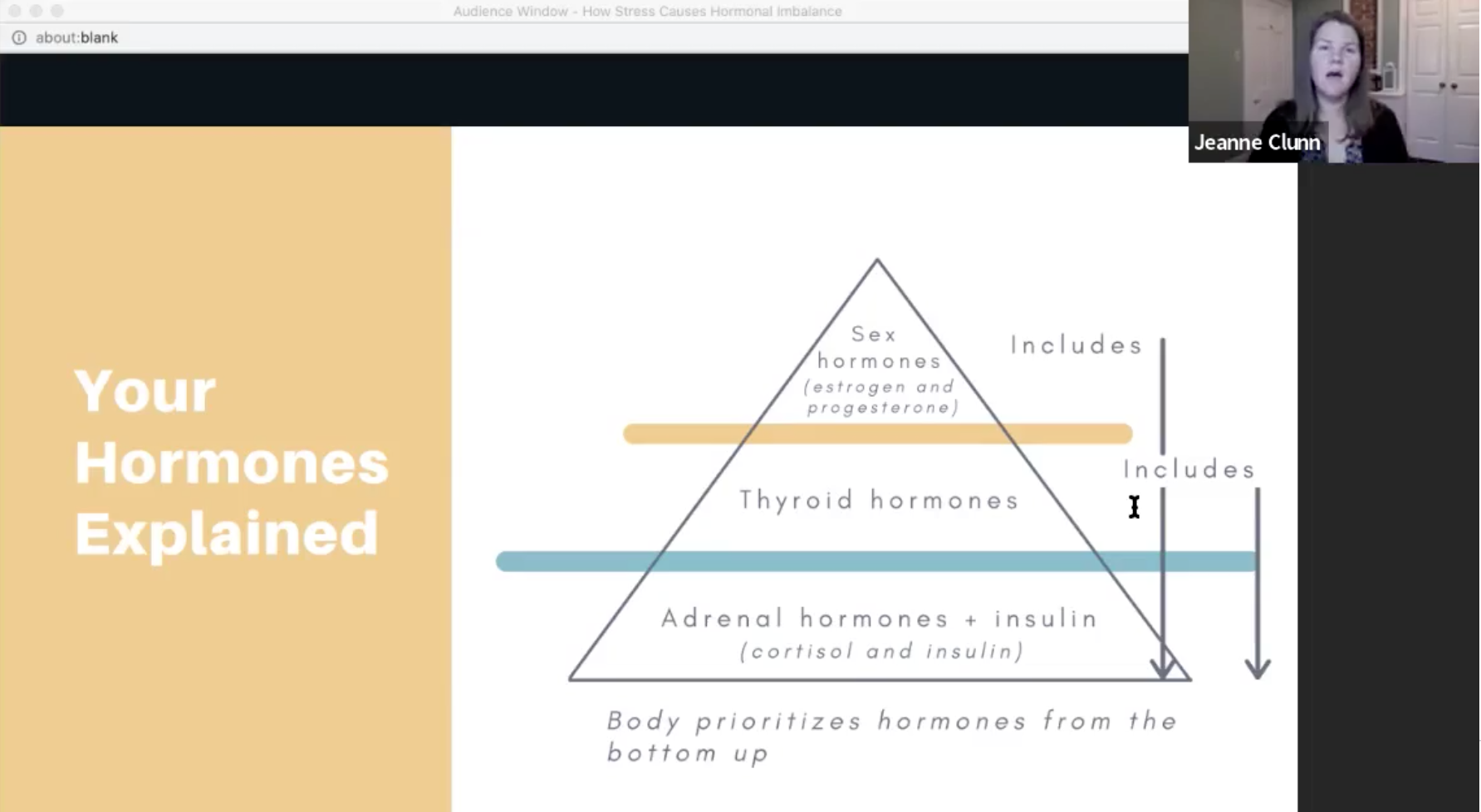 Triangle showing the hierarchy of adrenal, thyroid, and sex hormones